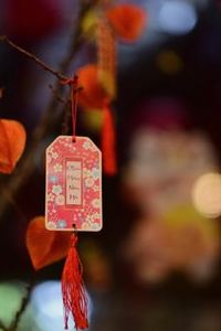rút tiền nhanh 8Day